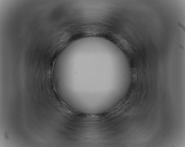 X0000091890369200709051049