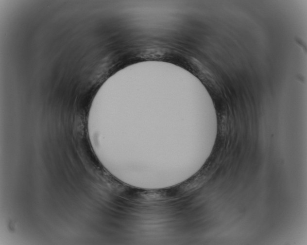 X0000091890370200709051049