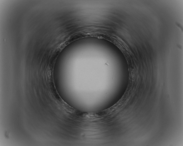X0000091890372200709051049