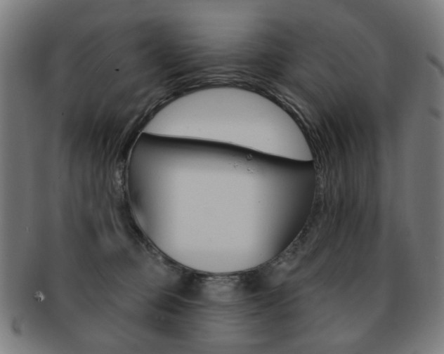 X0000091890373200709051049