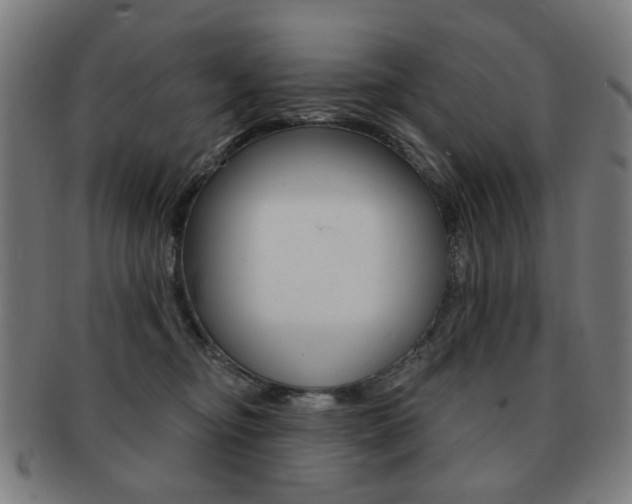 X0000091890374200709051049