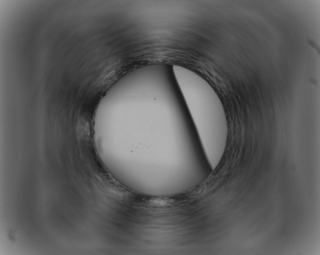 X0000091890375200709051049