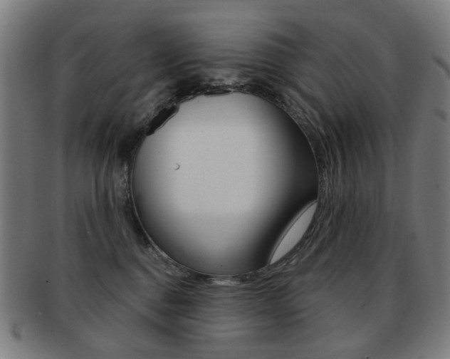 X0000091890376200709051049