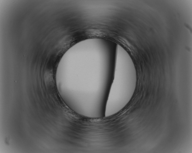 X0000091890377200709051049