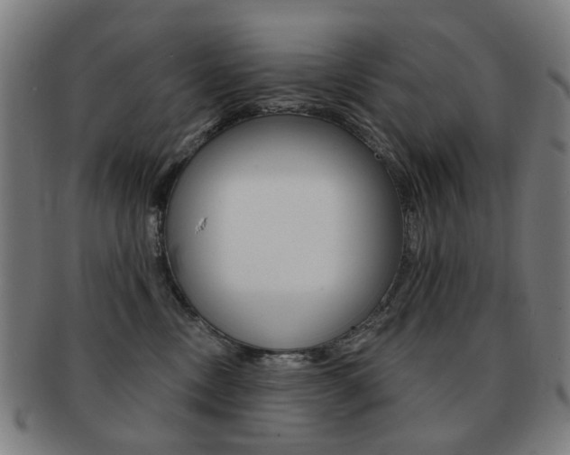 X0000091890378200709051049