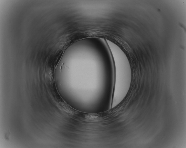 X0000091890380200709051049