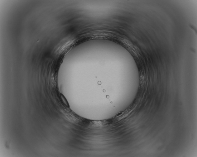 X0000091890381200709051049