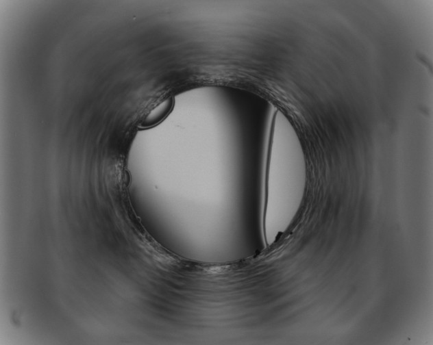 X0000091890382200709051049