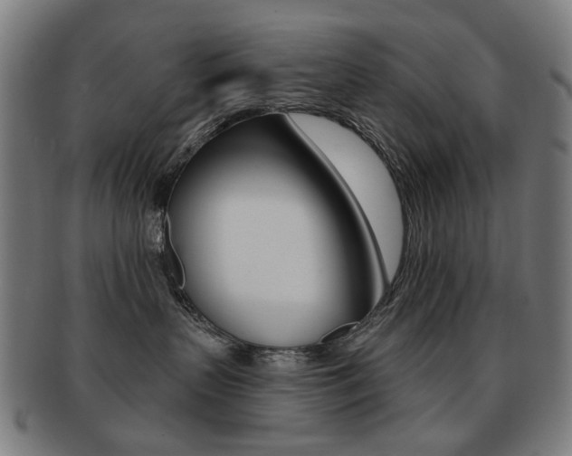 X0000091890383200709051049