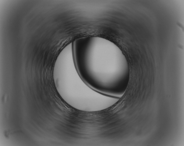 X0000091890384200709051049