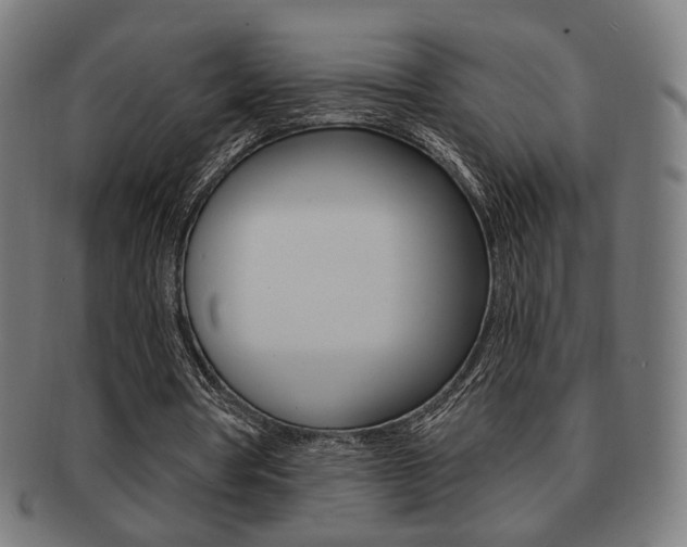 X0000091890386200709051048