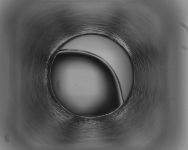 X0000091890387200709051048