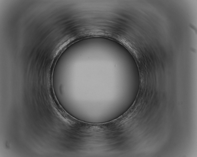 X0000091890390200709051048