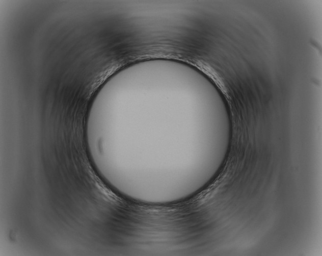 X0000091890393200709051048
