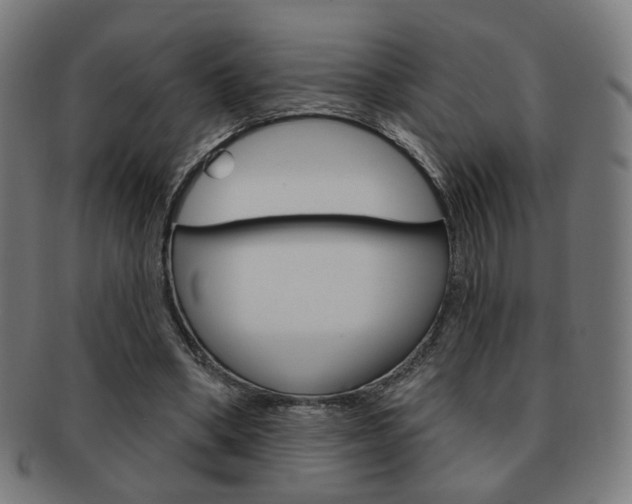 X0000091890394200709051048