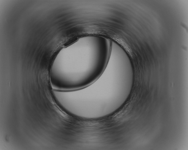 X0000091890397200709051048
