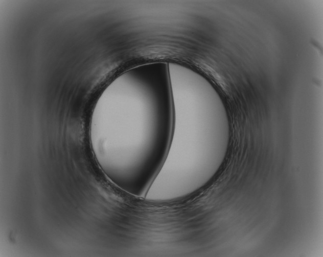 X0000091890400200709051048