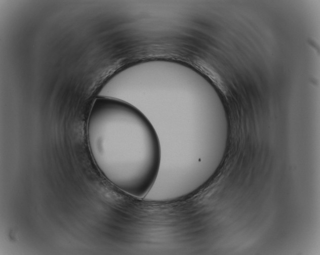 X0000091890401200709051048
