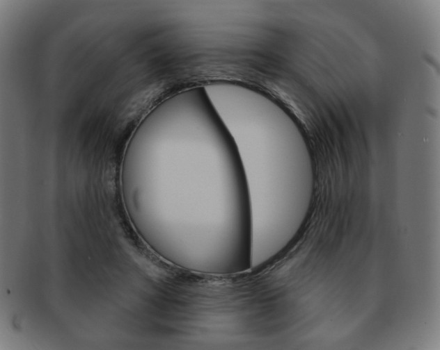 X0000091890402200709051048