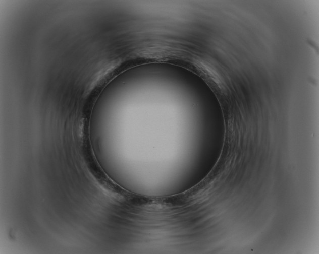 X0000091890404200709051048