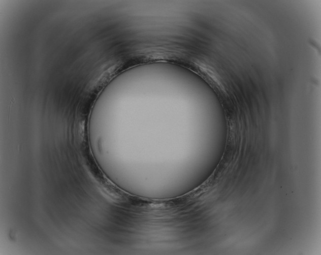 X0000091890406200709051048