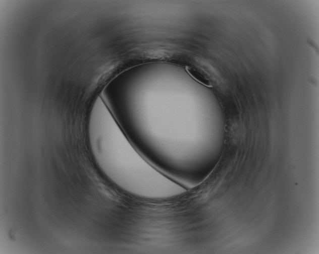 X0000091890407200709051048