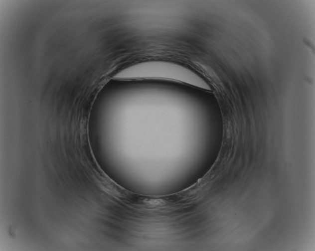 X0000091890409200709051048