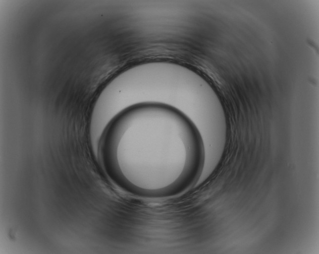 X0000091890411200709051048