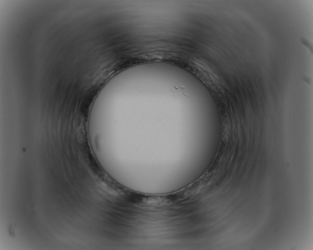 X0000091890414200709051048