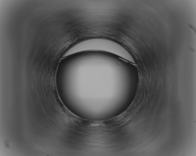 X0000091890415200709051048