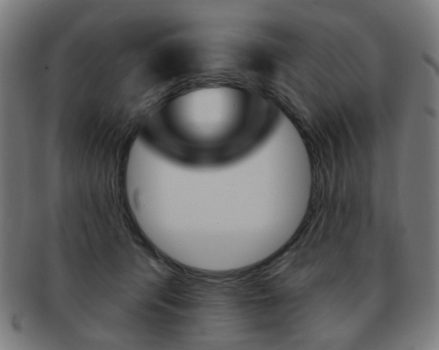 X0000091890416200709051048