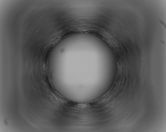 X0000091890418200709051048