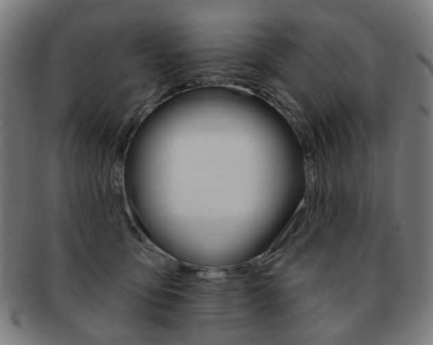 X0000091890419200709051048