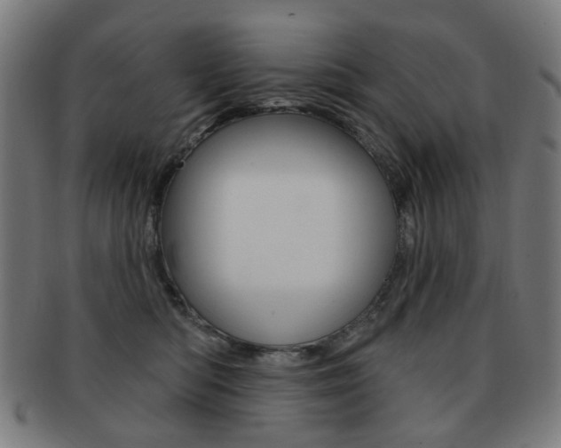 X0000091890422200709051048