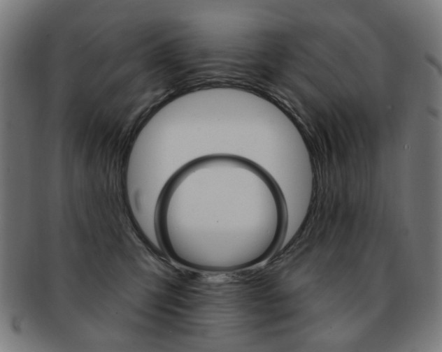 X0000091890423200709051048