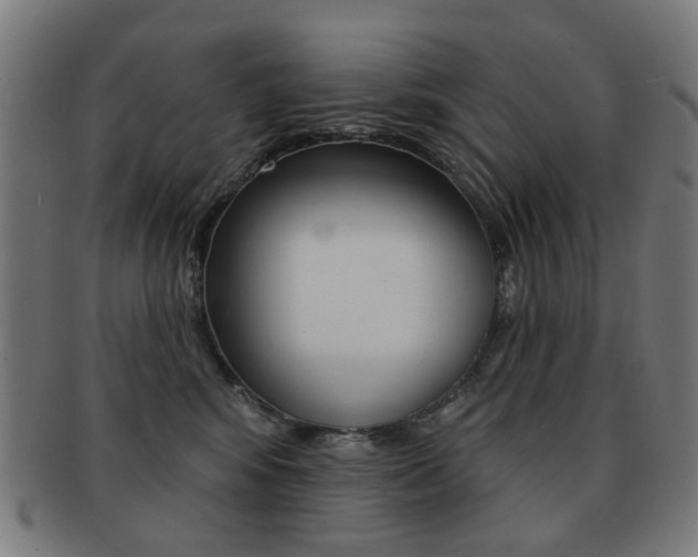 X0000091890424200709051048