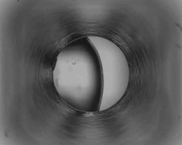 X0000091890425200709051048