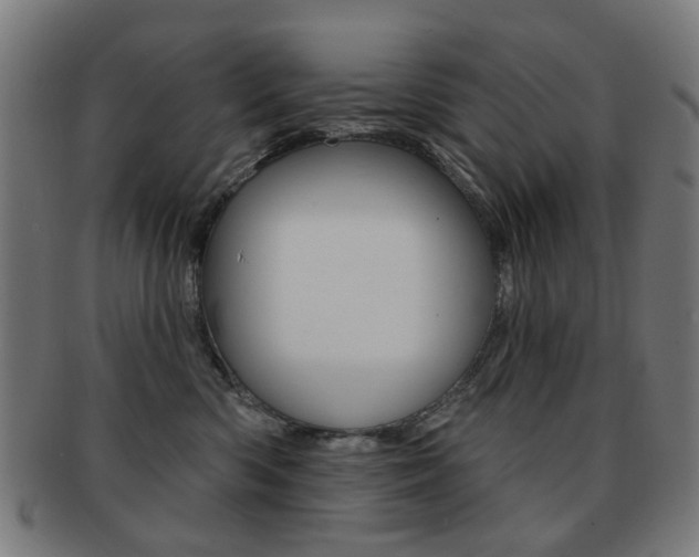 X0000091890426200709051048