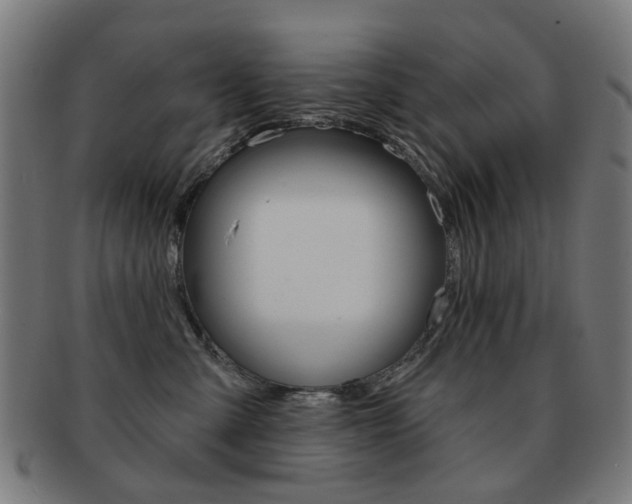 X0000091890427200709051048