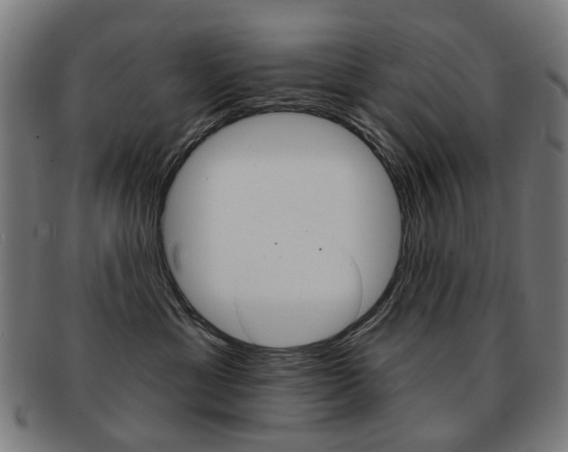 X0000091890429200709051048