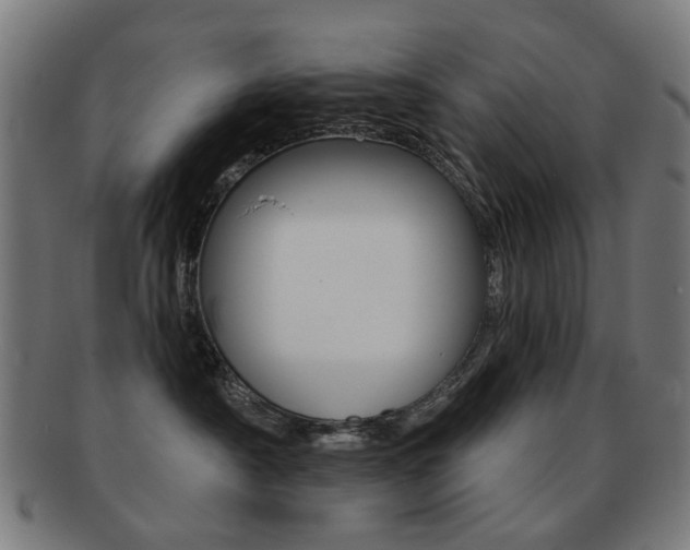 X0000091890430200709051048