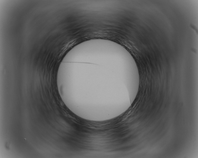 X0000091890431200709051048