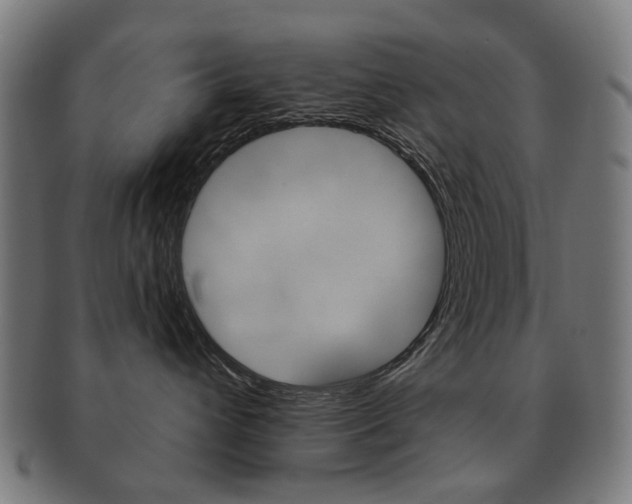 X0000091890432200709051048