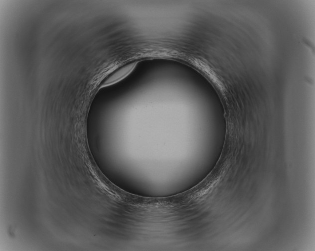 X0000091890433200709051047