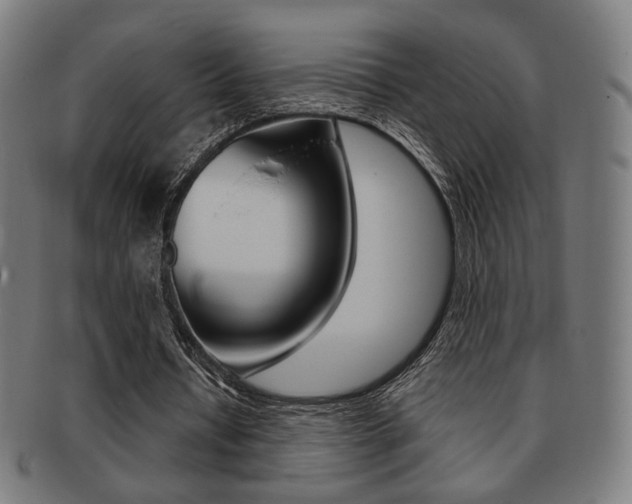 X0000091890434200709051047
