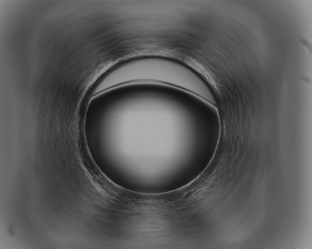 X0000091890436200709051047