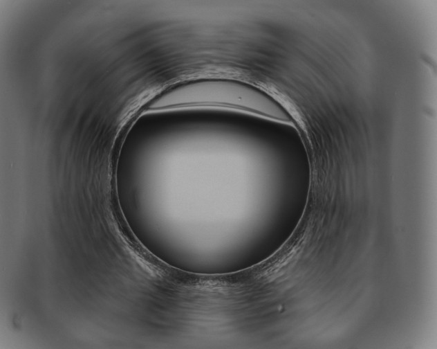 X0000091890437200709051047
