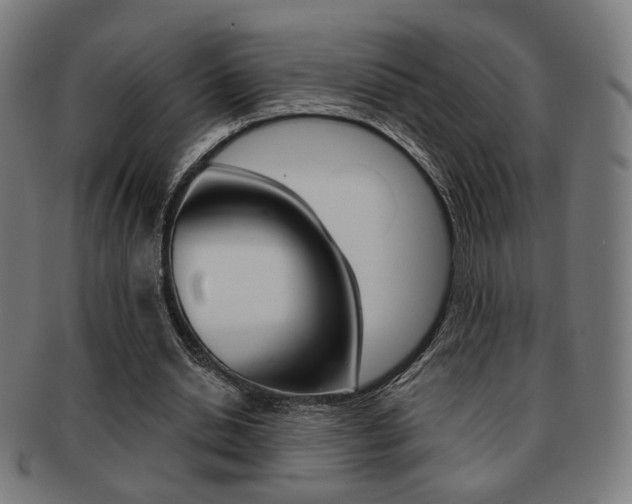 X0000091890438200709051047
