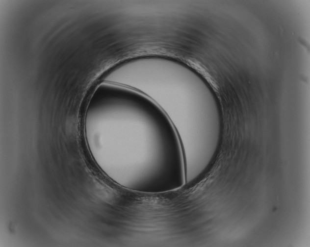 X0000091890439200709051047