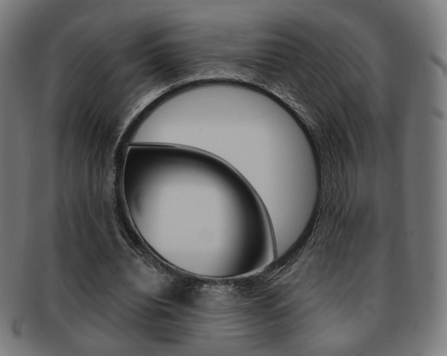X0000091890440200709051047